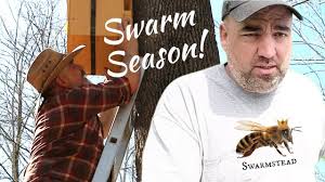 Let's talk about Honeybee Swarms with Swarmstead's Bruce Rodriguez!