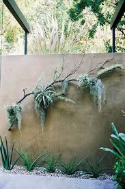 11 Secrets To The Easiest Garden Ever Hanging Air Plants Plants Air Plants