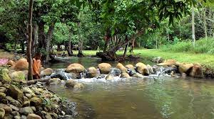 Kabupaten tersebut yaitu kabupaten lumajang dan malang. 23 Tempat Menarik Di Perlis Negeri Harumanis Yang Perlu Anda Lawati Ammboi