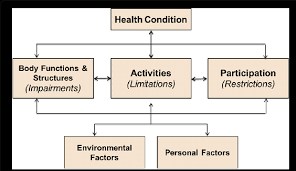 Framework Of Functioning Disability And Health Icf And Icf Cy 14 15 Download Scientific Diagram