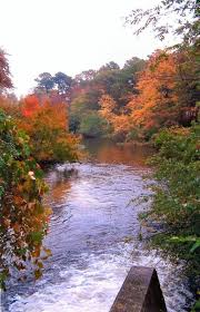 Riverhead In The Fall Long Island Ny County Park Scenic