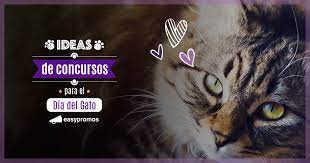 El día internacional del gato el 20 de febrero el origen de esta celebración se la debemos a un gato muy influyente llamado socks (calcetines). Celebra El Dia Del Gato Con Un Concurso En Redes Sociales