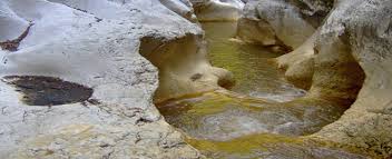 Un voucher în formă de card bancar cu care puteți plăti diverse servicii turistice (precum cazare, masă, programe) în românia, atât pentru dvs., cât și pentru familia dumneavoastră. Geoagiu Bai O Statiune Cu Ape Mezotermale