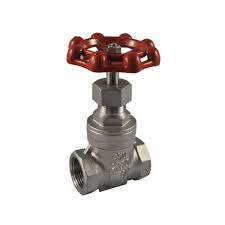 stainless steel threaded gate valve