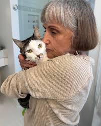 Adopt at Collierville Animal Shelter