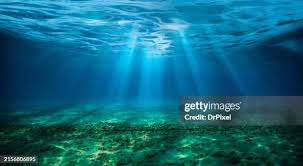 Image result for sea
