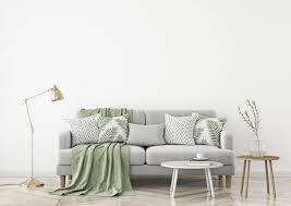 Comment Nettoyer Une Tache De Vomi Sur Un Canape En Tissu Coton Polyester