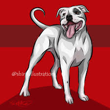 Handsome Staffy White Staffordshire Bull Terrier Cute Dog Art Red Background Coasters By Shirinsart Dog Art Staffordshire Bull Terrier Every Dog Breed