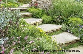 Phillip Johnson Landscapes Natural Pools Garden Design Billabonngs Australian Garden Rockery Garden Native Plant Landscape