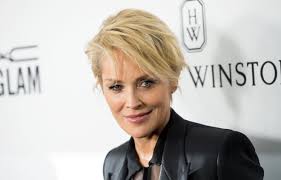 Шэрон вонн стоун (sharon vonne stone). Sharon Stone Biography Photo Age Height Personal Life News Filmography 2021