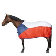 1 history 2 country information 3 trivia 4 gallery 5 names in other languages 6 see also 7 swf the czech republic is a landlocked country in europe. Hkm Set Flags Czech Republic