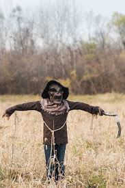 We did not find results for: 11 Diy Scarecrow Costumes Best Scarecrow Costume Ideas For Kids And Adults