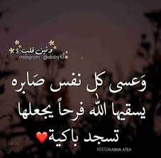 القلم والممحاة زاكي