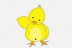 Melatih saraf motorik anak dengan mewarnai gambar ayam adalah hal yang sangat mengembirakan buat sang anak. Bebek Kuning Menggambar Ilustrasi Kartun Anak Ayam Dicat Hewan Tangan Png Pngwing