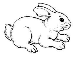 Dibujos De Conejos Para Colorear E Imprimir Coelhinhos De Desenho Coelhos Para Colorir Animais Para Colorir