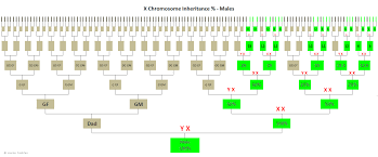 x dnas helpful inheritance patterns genie1