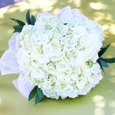 If a franklin tn flower shops vendor has an availability request, fill one out. Wegmans 54 Bridesmaids Bouquet Centerpiece White Rose Bridal Bouquet Bridesmaid Bouquet Flower Bouquet Wedding