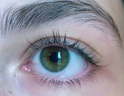 Insta Angelicfairy Beautiful Eyes Color Aesthetic Eyes Pretty Eyes