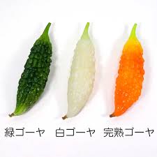 ゴーヤ 種類