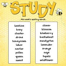 Spelling Bee Competitionradix Tree Online Tutoring Training Services
