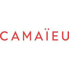 Quel haut mettre avec un pantalon taille haute ? Camaieu Pantalon Skinny Femme 7 8 B Damas Sk Aquifer Bleu Ciel Cdiscount Pret A Porter