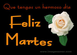 Https Encrypted Tbn0 Gstatic Com Images Q Tbn And9gcruvyzx2vrowcgplx5gra8kpimszr S Onhgw Usqp Cau