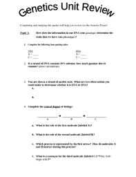 › genetics test review sheet answers. Genetics Unit Review Packet By Ann Kuhn Teachers Pay Teachers