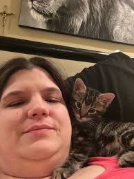 Curious as to why this is the recommended age span? Are Kittens Sad After Being Adopted And Separated From Their Siblings And Mother Quora