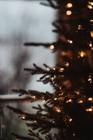 музыка в лесу родилась елочка в лесу она росла Christmas Tree By Melanie Defazio For Stocksy United Christmas Tree Wallpaper Christmas Photography Christmas Phone Wallpaper
