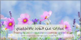عبارات عن الورد بالانجليزي مواضيع باللغة الانجليزية