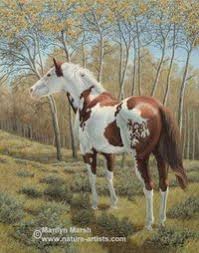 Ervin Sula (ervinsula01)