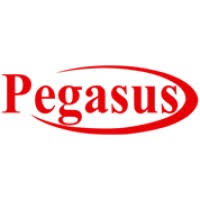 PEGASUS International Computer Co.- KUWAIT | LinkedIn