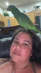 Lost & Found Birds Of Delaware, Maryland, New Jersey & Pennsylvania..