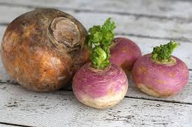 What S The Difference Between Turnips And Rutabagas Rutabaga Turnip Mashed Rutabaga