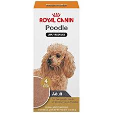 top 5 best dog foods for toy miniature and standard poodles