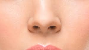 Does your nose keep growing all your life. Stop Plucking Nose Hairs Dr Oz Weighs In On Health Habits