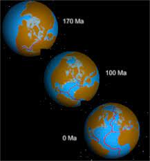 Cati ani are viorica dancila; PÄƒmant Wikipedia