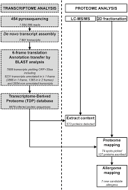 Every ragweed pollen allergy season, he suffers from itchy, watery eyes and stuffy nose. Experimental Workflow Of Short Ragweed Pollen Transcriptome Proteome Download Scientific Diagram