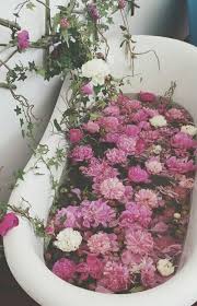1 Tumblr Flower Aesthetic Pretty Flowers Flowers Nature