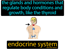 Pin On Bones Muscles And Skin