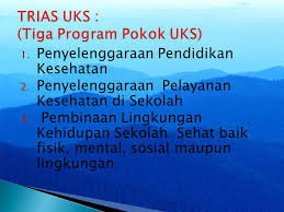 Profil sekolah— transcript presentasi 2 profil sekolah. Uks Menciptakan Sekolah Sehat Berkualitas Ppt Download