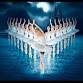 Swan Lake - Grand Forks