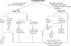 Diagnosis And Management Of Infective Endocarditis And Its