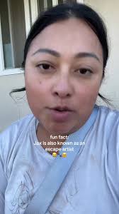 Boston Terrier Mixed with A Boxer