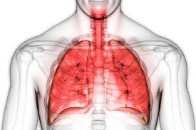 Etiology of idiopathic pulmonary fibrosis. La Fibrosis Pulmonar Idiopatica Bajo La Lupa De Masquepacientes