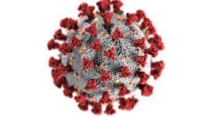 The district's surveillance data can be found here. Coronavirus India Hunts For New Strains As Covid Wave Looms Bbc News