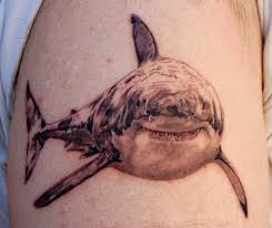 Required fields are marked * comment. Great White Shark Tattoo Designs Elegant Arts Tattoo