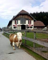 pin auf animal lover