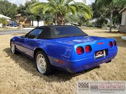 Image result for Blue 1995 Fleet