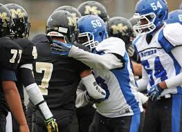 Dustin Rubenstein runs McKee/Staten Island Tech past Petrides, 30-18